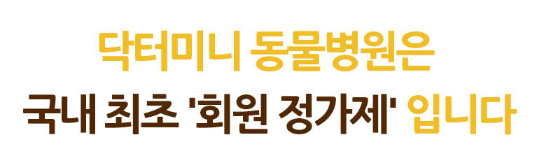 루메딕은 추가비용이 없습니다