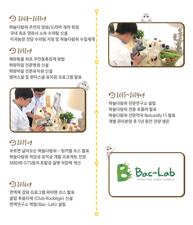 백랩의 역사