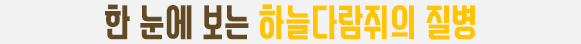 한눈에 보는 하늘다람쥐의 질병
